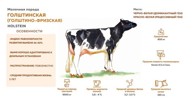 Ты так щедра, земля кормилица смотреть онлайн