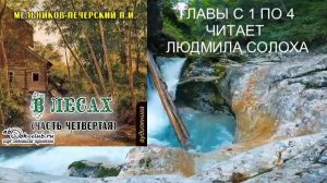 04.01 П. И. Мельников - Печерский "В лесах" (часть 4 главы 1 по 4)