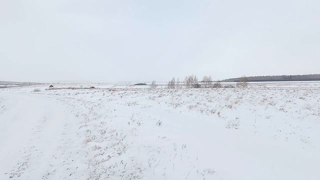 51054443