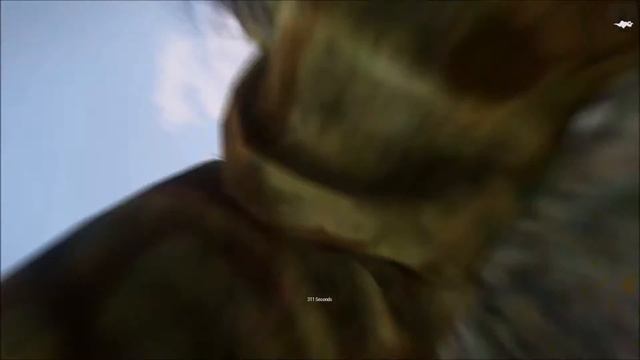 IFA3 Blood and Honor - Bush wacked смотреть онлайн