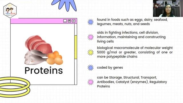 Biochem for Dummies: Proteins смотреть онлайн