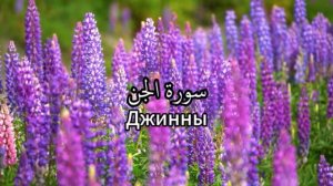 Сура 72. аль-Джинн/ Джинны, со смысловым переводом. Чтец - Имад аль-Мансори