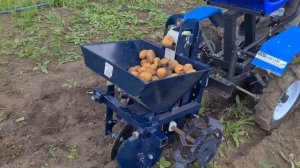 Сажаю КАРТОФЕЛЬ или учусь ездить по прямой. НЕВА#мотоблокнева #моехобби #картофелесажалка