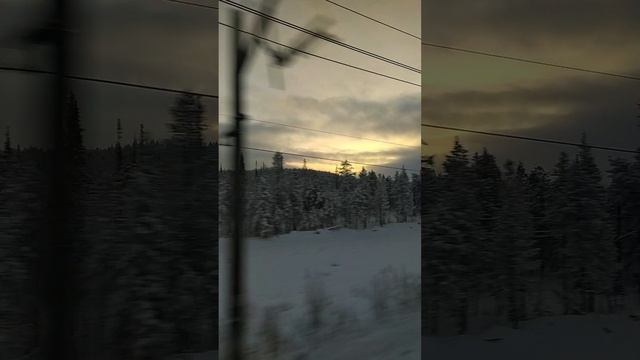 Карельские зимние виды на закате из поезда. РЖД смотреть онлайн