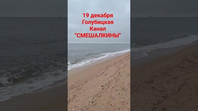 Обстановка в Голубицкой. #голубицкая #анапа #темрюк #азовскоеморе #отпуск #пмж #хочуврекомендации смотреть онлайн