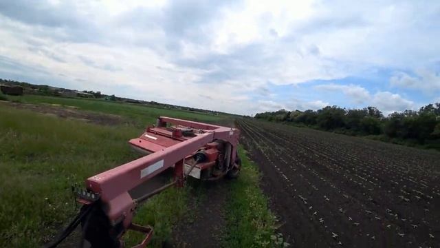 косим на огородах кострец с эспарцетом разбило крестовину на переднем мосту мтз смотреть онлайн