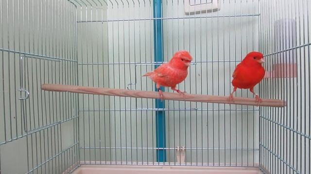 MVI 8464 смотреть онлайн