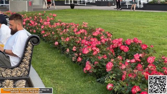 Парад физкультурников! ВДНХ Москва воскресенье Прямая трансляция Стрим прогулки по Москве смотреть онлайн