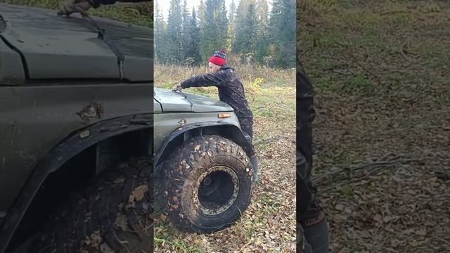 Эскудо на резине Шаина2 смотреть онлайн