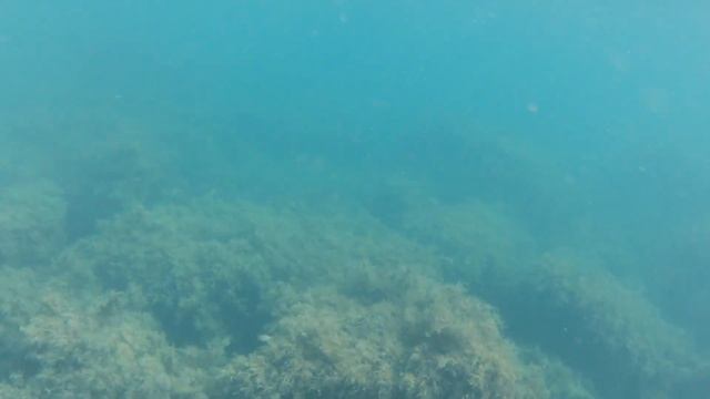 Большой Утриш. Прогулка и подводное видео. Закрытие купального сезона 2024. смотреть онлайн