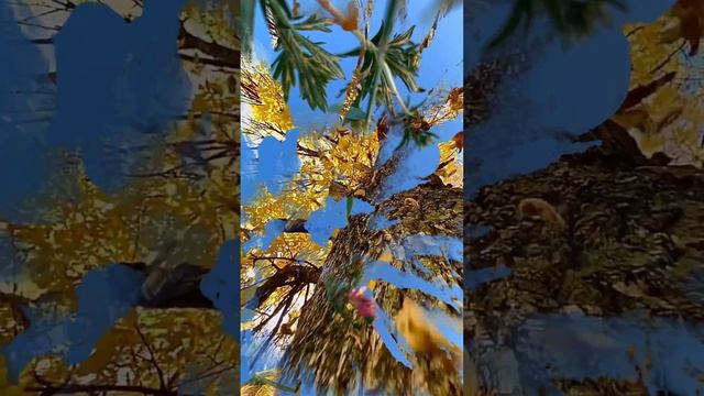 Я люблю эту женщину , очень ... смотреть онлайн