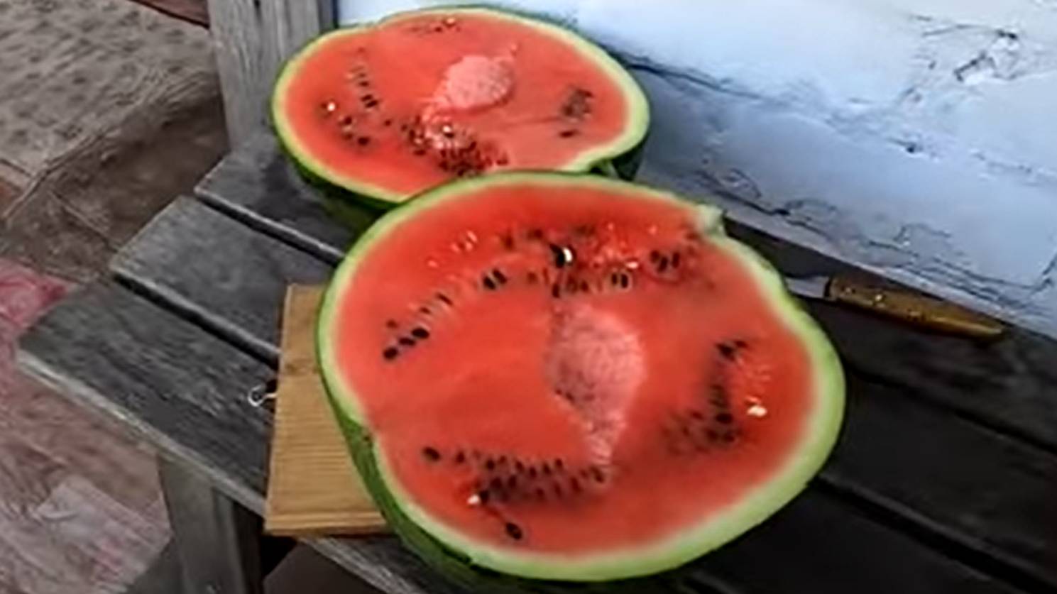 Выращивание арбузов в теплице смотреть онлайн