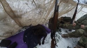 На гуся по снегу! Открытие весна 2024!# 1