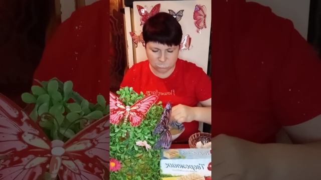 ASMR🍟 MUKBANG🍢 премиум🍛 в пасте🍥 смотреть онлайн