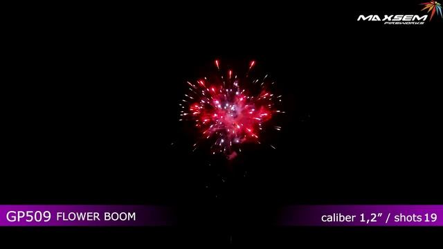 GP509 FLOWER BOOM 1,2"х19 батарея салютов смотреть онлайн