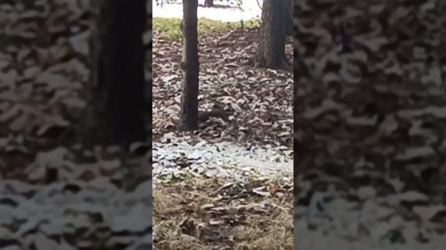 28-12-2024 смотреть онлайн