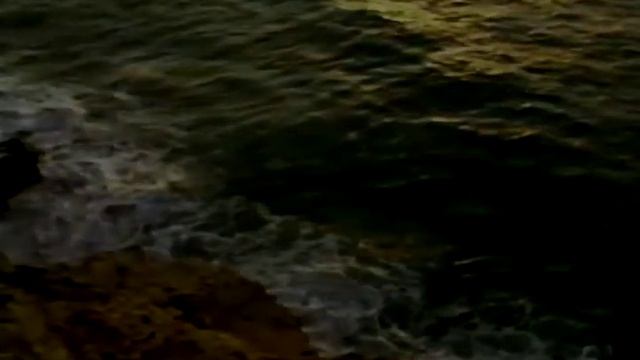 Terence McKenna, Rupert Sheldrake, Ralph Abraham - Metamorphosis смотреть онлайн
