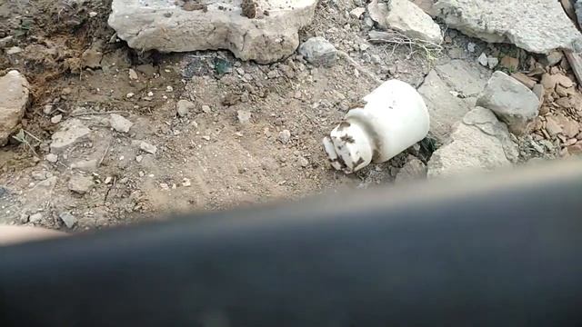 смешное видео про телевизор смотреть онлайн