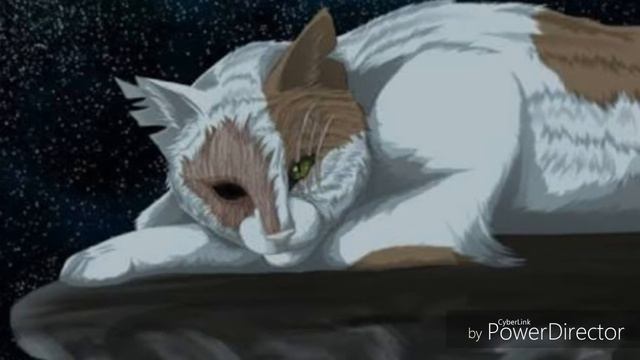Коты воители-CRAZY IN LOVE смотреть онлайн