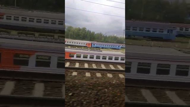 Старые «собаки» смотреть онлайн