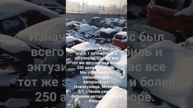 Авторазбор Новокузнецк Моховая 3/1 смотреть онлайн