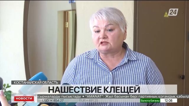 Выпуск новостей 12:00 от 17.04.2022 смотреть онлайн