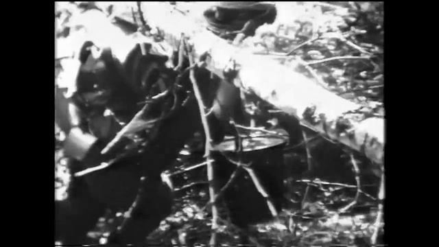 1966 г. Поход учащихся Калицинской ср. школы по местам боёв 379 стр. дивизии смотреть онлайн
