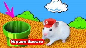 Хомяк попал в МАРИО ЛАБИРИНТ с ЛОВУШКАМИ 🐹 Видео для детей