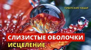 Исцеление Слизистых Звуком Поющих Тибетских Чаш с Альфа волнами