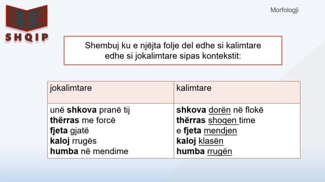 Folja (kalimtare dhe jokalimtare) смотреть онлайн