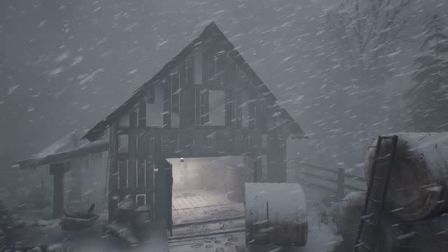 ЗВУКИ ВЕТРА убаюкивают. Воющий ветер и метель. Атмосфера ледяной метели смотреть онлайн