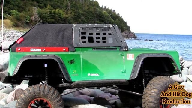 Axial Racing Scx10 "Hatch Back" Dingo ... Wheel Well Test Run смотреть онлайн