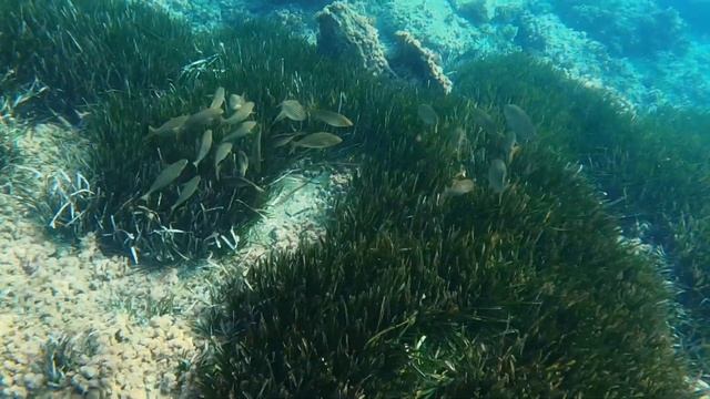 Cabo de Palos 01-10-21 смотреть онлайн