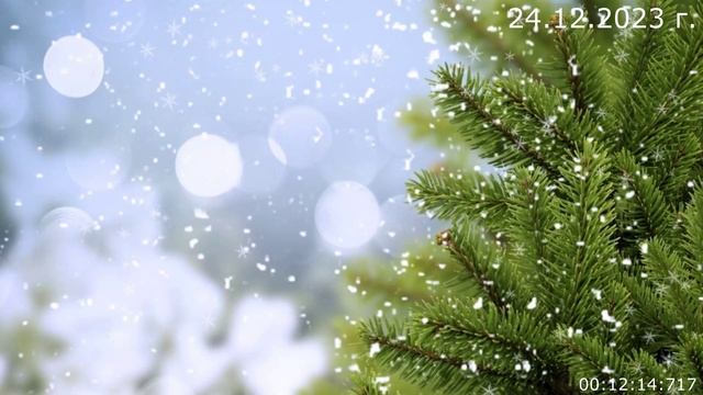 842 Старые дорожки 24.12.2023 г смотреть онлайн