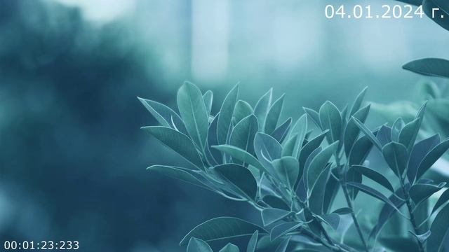 852 Сны 04.01.2024 г смотреть онлайн