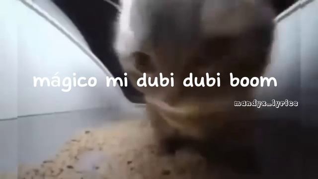 chipi chipi chipi chipi dubi daba daba letra/lyrics смотреть онлайн