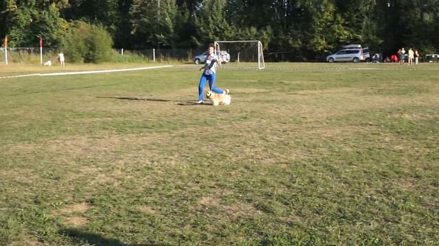 00035 смотреть онлайн