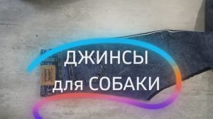 Джинсы для собаки без построения из старых джинс