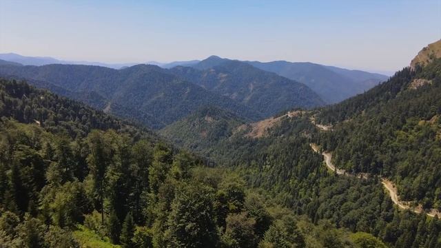 "Высшая сила". 16 января. Сегодня-лучший путь. Ежедневник для созависимых. смотреть онлайн