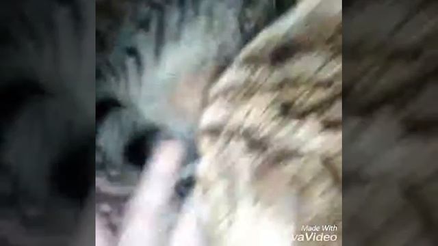 Опять спит???Он и так целый день спал... смотреть онлайн