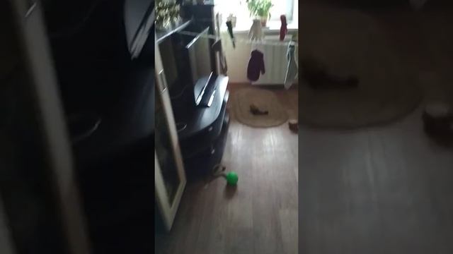 Аджика, челлендж 4 задание смотреть онлайн