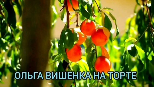 ЭТО УЖАС! ДОБРАЛАСЬ ДО ДРУГА. ОЛЮНЯ И КОТЮНЯ.ОБЗОР ВЛОГА. смотреть онлайн