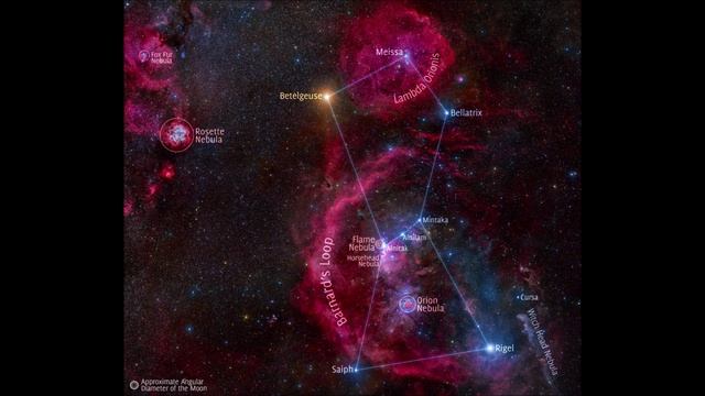 Скорпион и Орион10/24/~11/22/