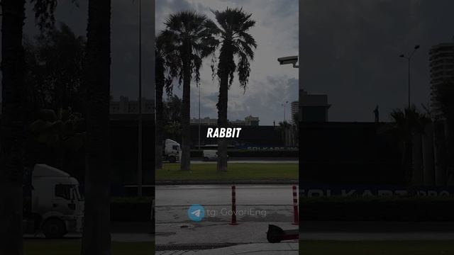 АНГЛИЙСКИЙ ДЛЯ НАЧИНАЮЩИХ | Учи английский по 5 минут в день! смотреть онлайн