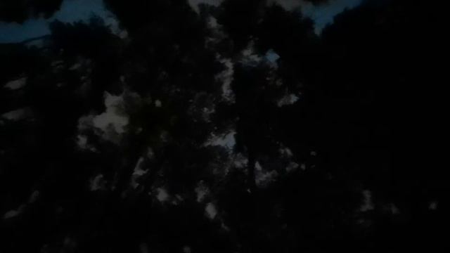 Johan Edlund, Johnny Hagel, Kenneth Roos, Niklas Ekstrand, Thomas Petersson смотреть онлайн