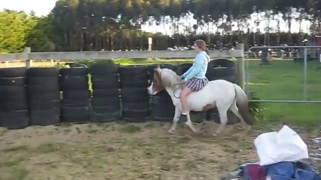Shetland pony Шетлендский пони смотреть онлайн
