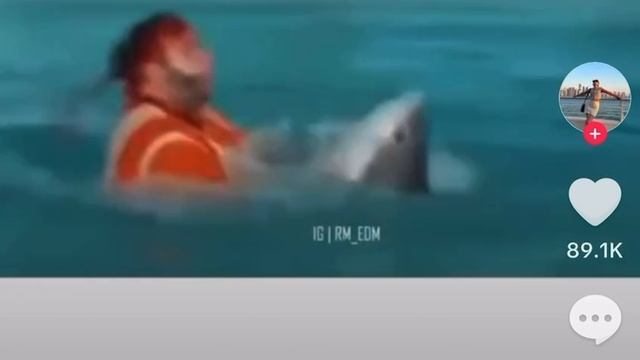 VID_20241228_140114_002.mp4 смотреть онлайн