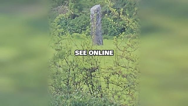 It All Started At Magh Adhair: Brian Boru's Journey To High King #brianboru #irishhistory #ireland