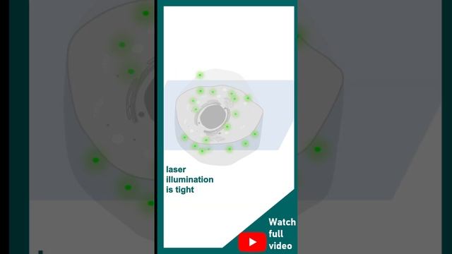 Confocal microscopy in 1 minute | principles of confocal microscopy | application of confocal смотреть онлайн