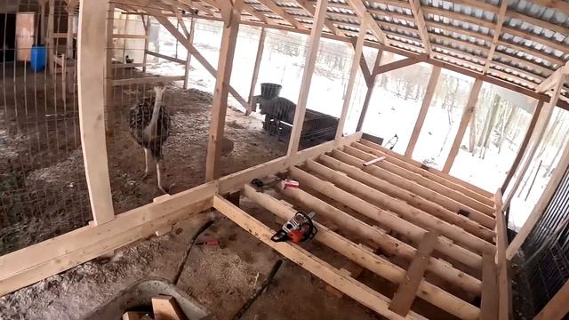 НАДОЕЛО УЖЕ ЭТО ! КУПИЛ ХУТОР В ЛЕСУ №239 смотреть онлайн